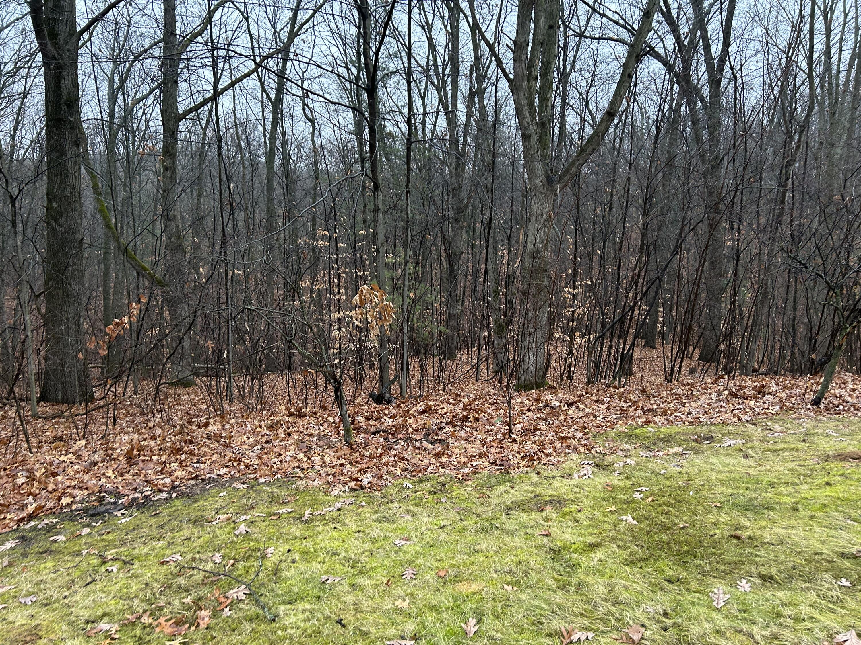 6779 19 Mile Road Northeast Cedar Springs, MI 49319 - Photo 39 of 48 IMG_8187