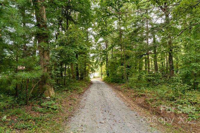 2853 Chimney Rock Road Hendersonville, NC 28792 - Photo 32 of 36 a view of a forest with trees in the background