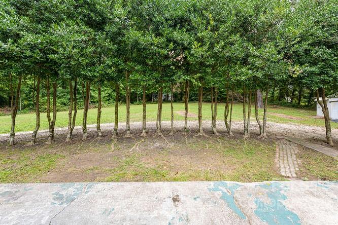 2853 Chimney Rock Road Hendersonville, NC 28792 - Photo 35 of 36 a view of a yard with a tree