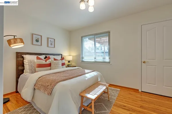 a view of a backyard with plants and a large tree