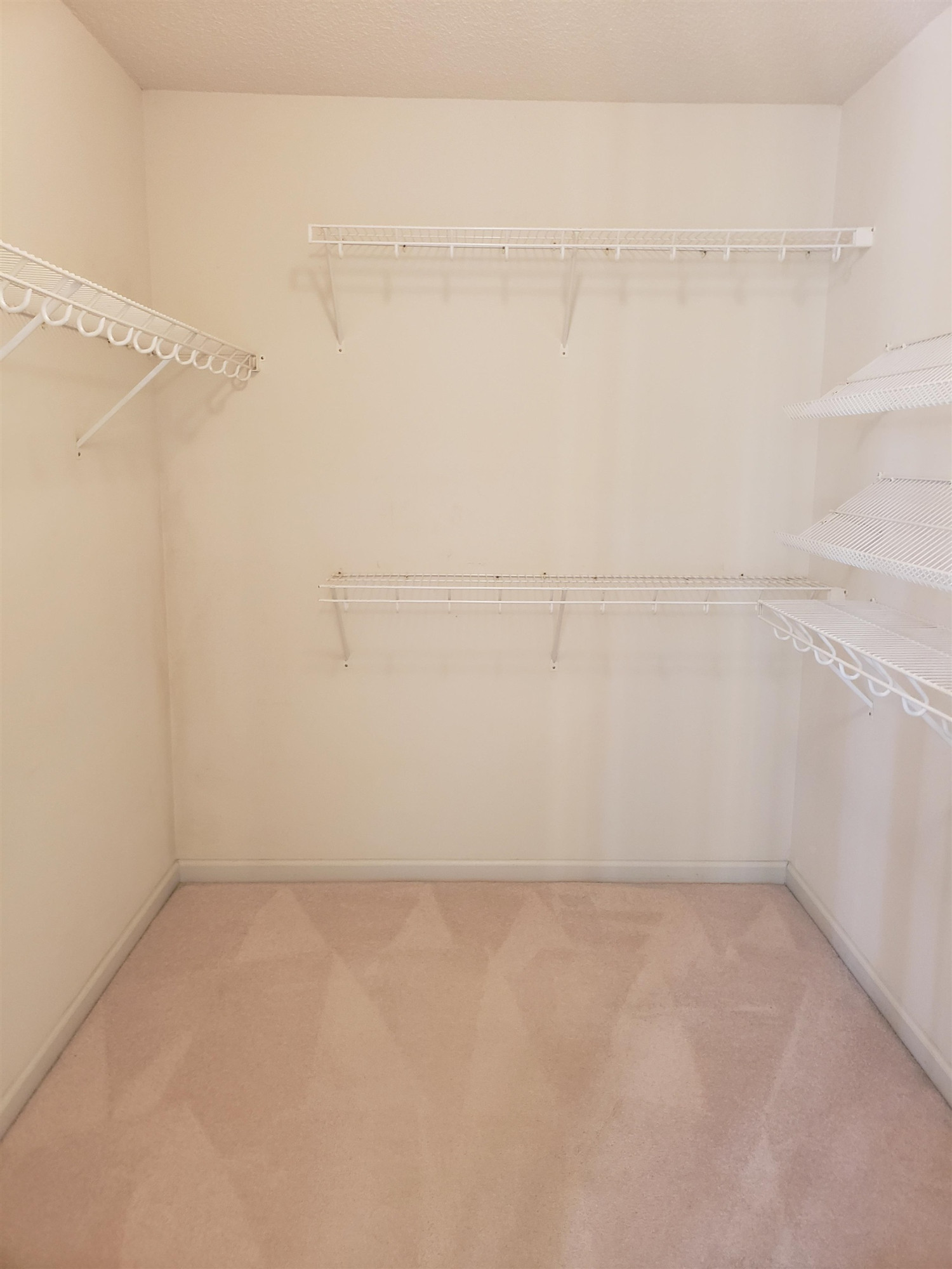 340 Parrish Memorial Road Selma, NC 27576 - Photo 11 of 17 a view of a room with racks on the wall