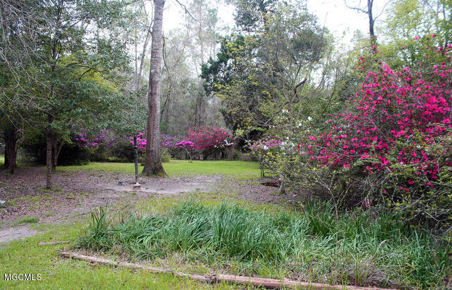 211 Price Road Perkinston, MS 39573 - Photo 29 of 41 FRONT AZALEAS
