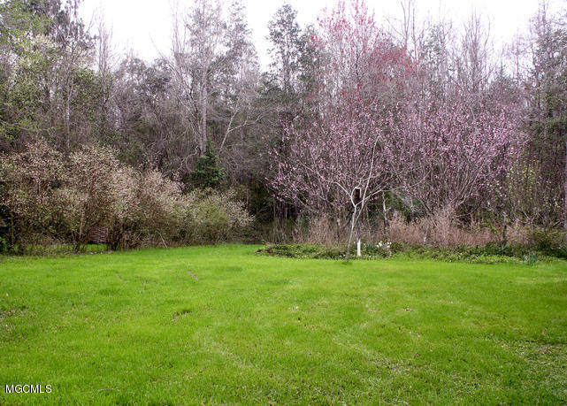 211 Price Road Perkinston, MS 39573 - Photo 37 of 41 Fruit Trees