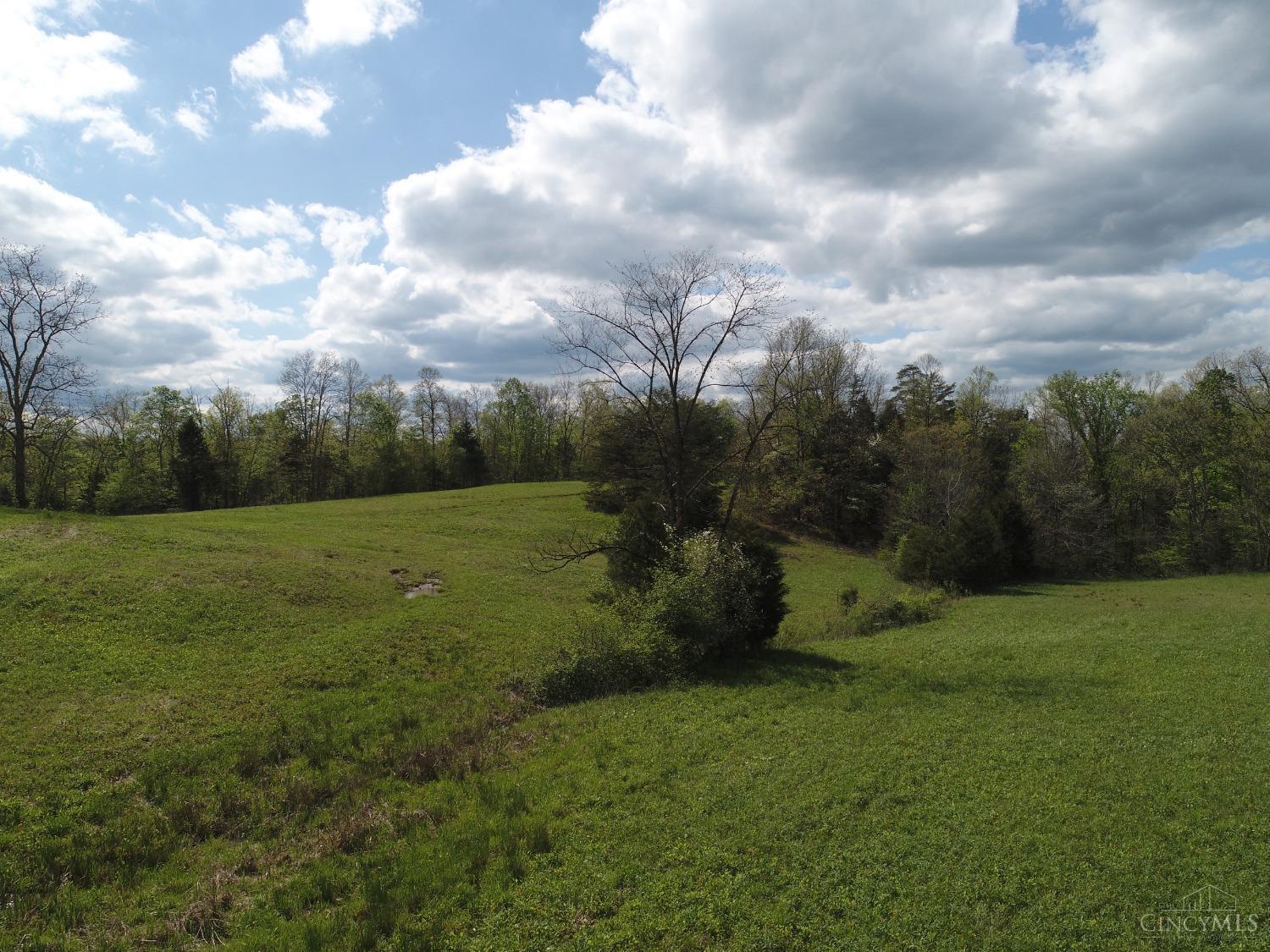 0 Randalls Run Road Blue Creek, OH 45616 - Photo 20 of 38