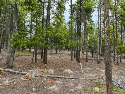 $900,000 | 0 Sinton Road, Evergreen, CO 80439