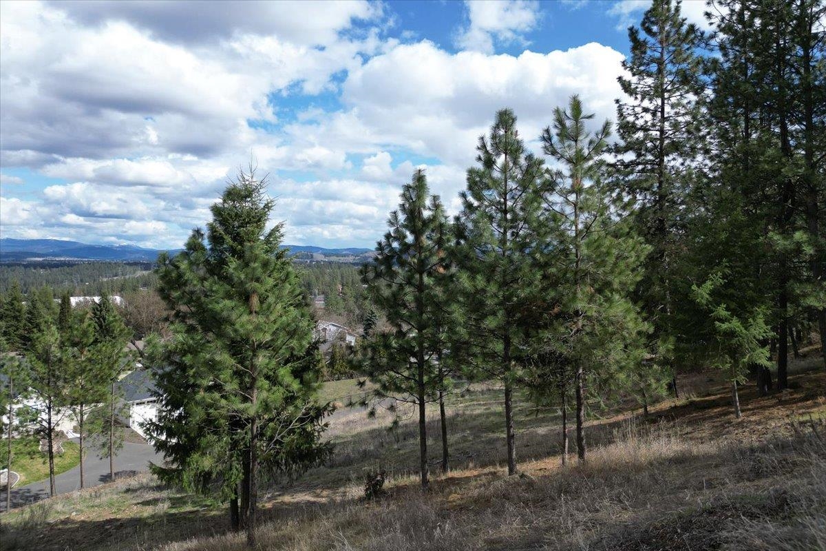 1411 West Toni Rae Drive Spokane, WA 99218 - Photo 1 of 9