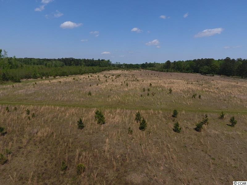 0 Causey Road Nichols, SC 29581 - Photo 11 of 20 Gallery Image 11