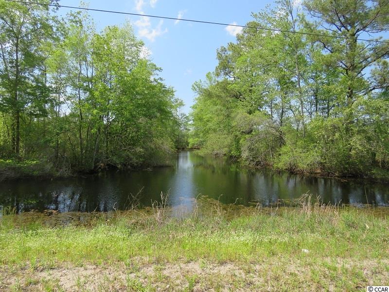0 Causey Road Nichols, SC 29581 - Photo 19 of 20 Gallery Image 19