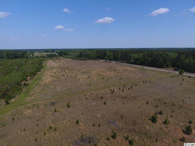 0 Causey Road Nichols, SC 29581 - Photo 6 of 20 Gallery Image 6