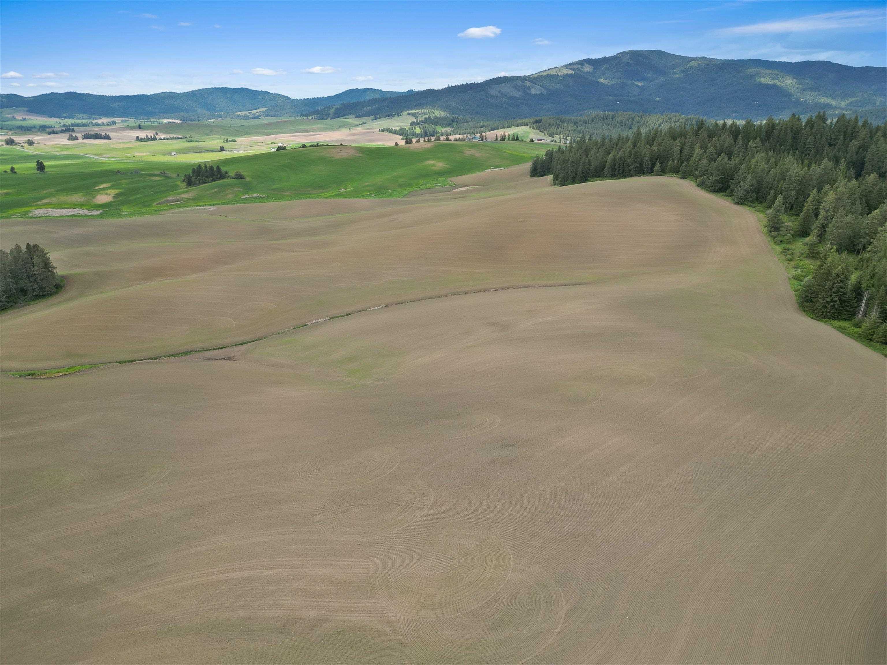 Xxxxx South Starr Road Rockford, WA 99030 - Photo 12 of 14