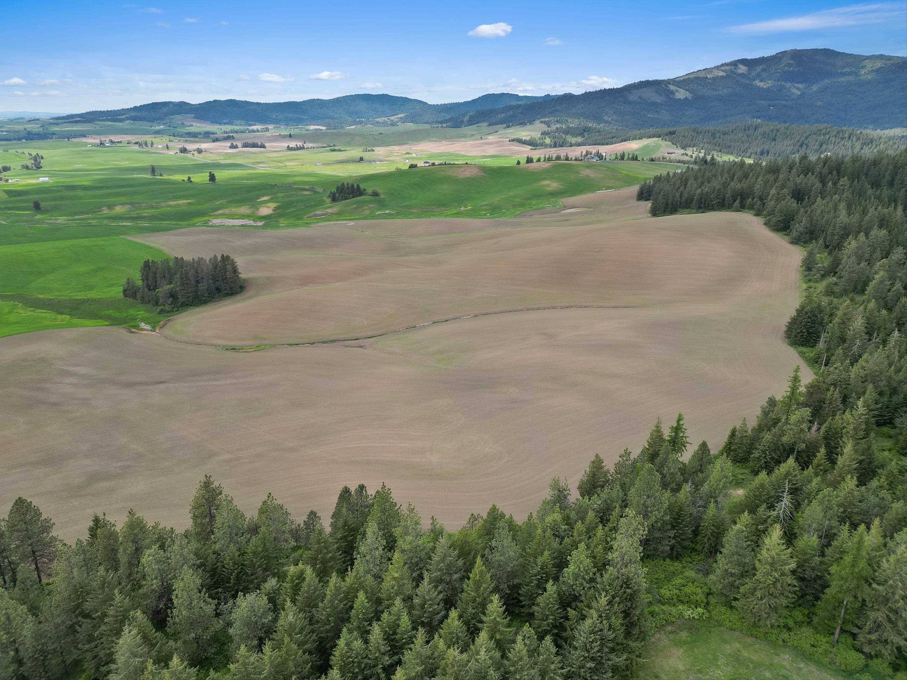 Xxxxx South Starr Road Rockford, WA 99030 - Photo 13 of 14