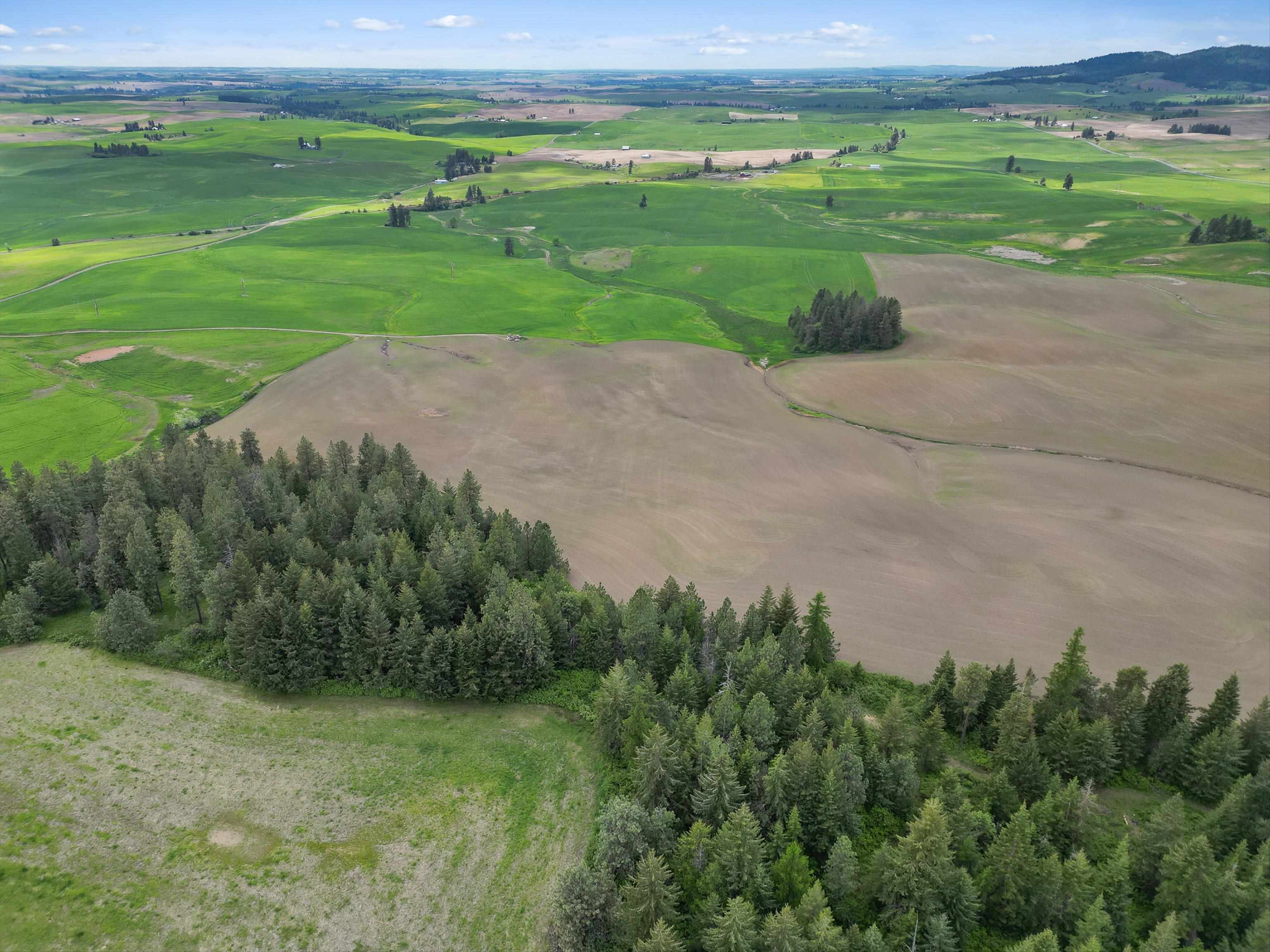 Xxxxx South Starr Road Rockford, WA 99030 - Photo 14 of 14