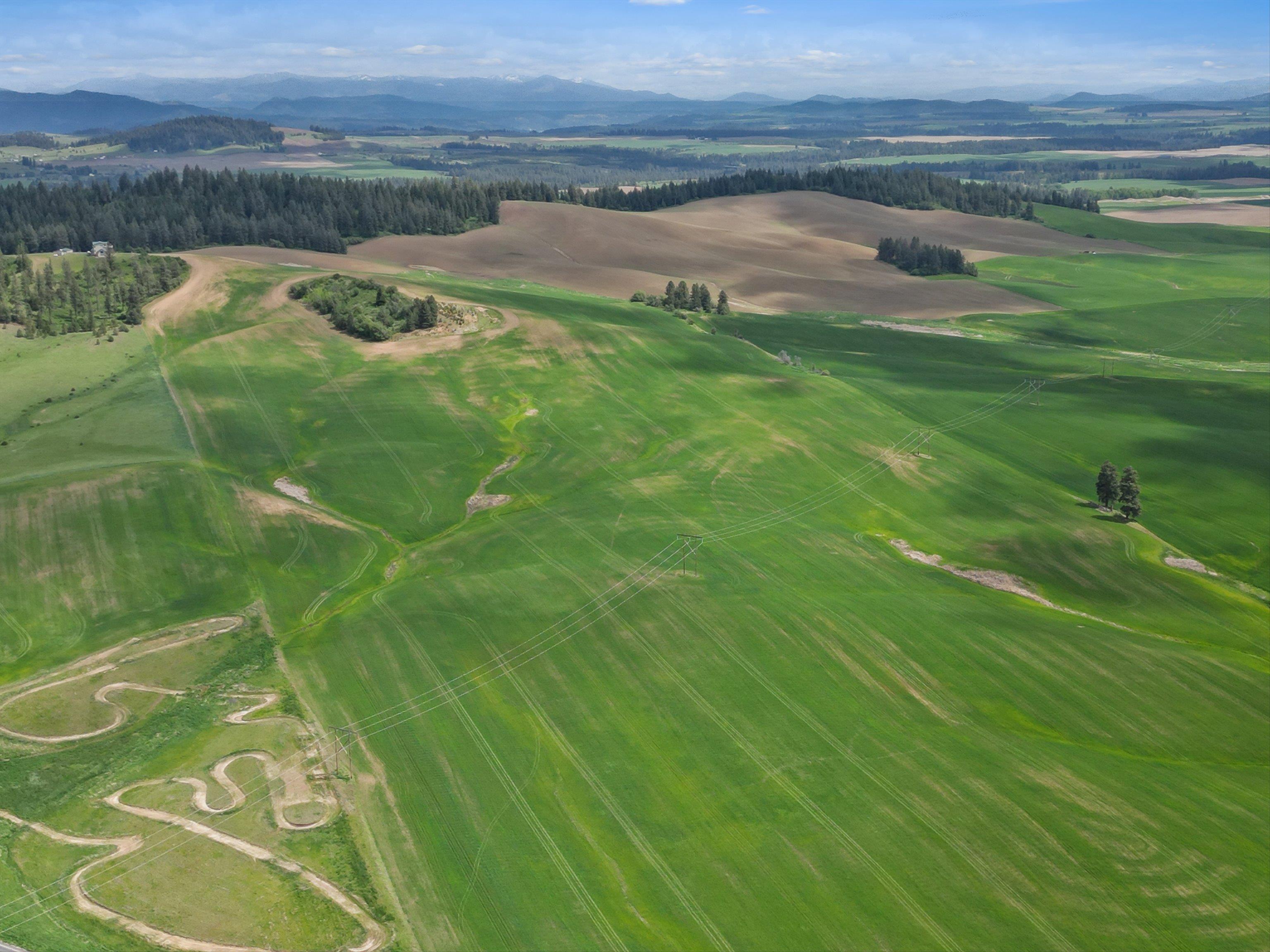 Xxxxx South Starr Road Rockford, WA 99030 - Photo 4 of 14