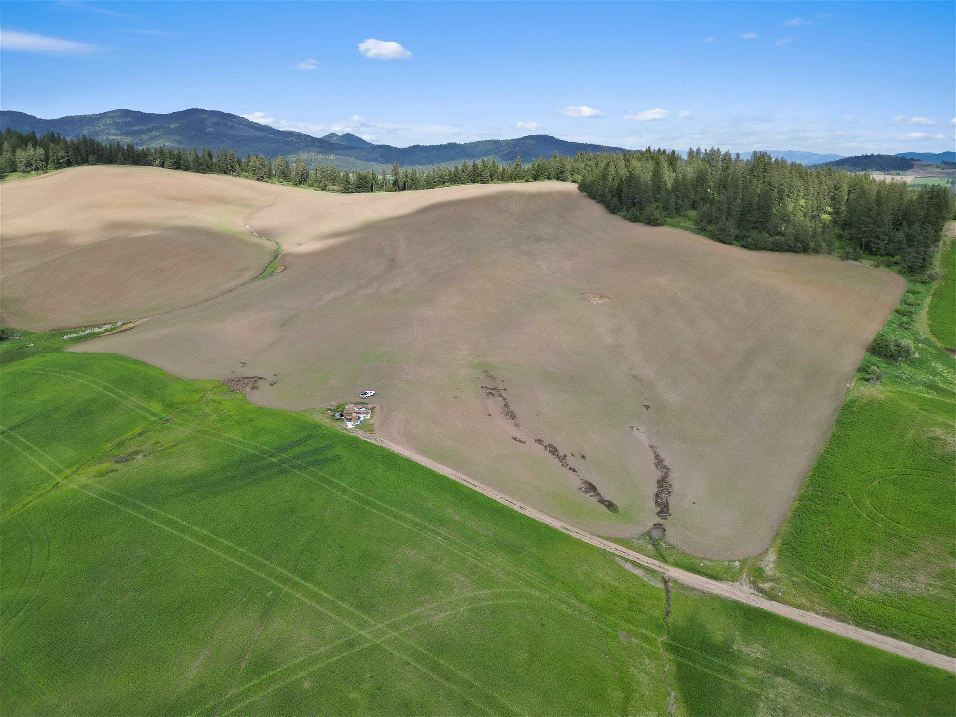 Xxxxx South Starr Road Rockford, WA 99030 - Photo 5 of 14