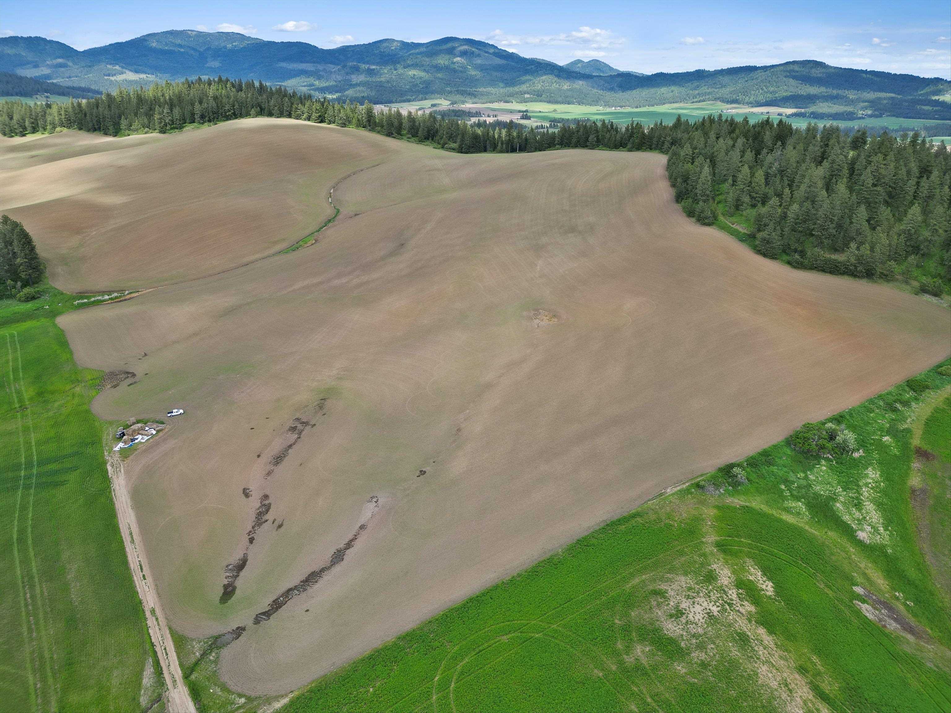 Xxxxx South Starr Road Rockford, WA 99030 - Photo 6 of 14