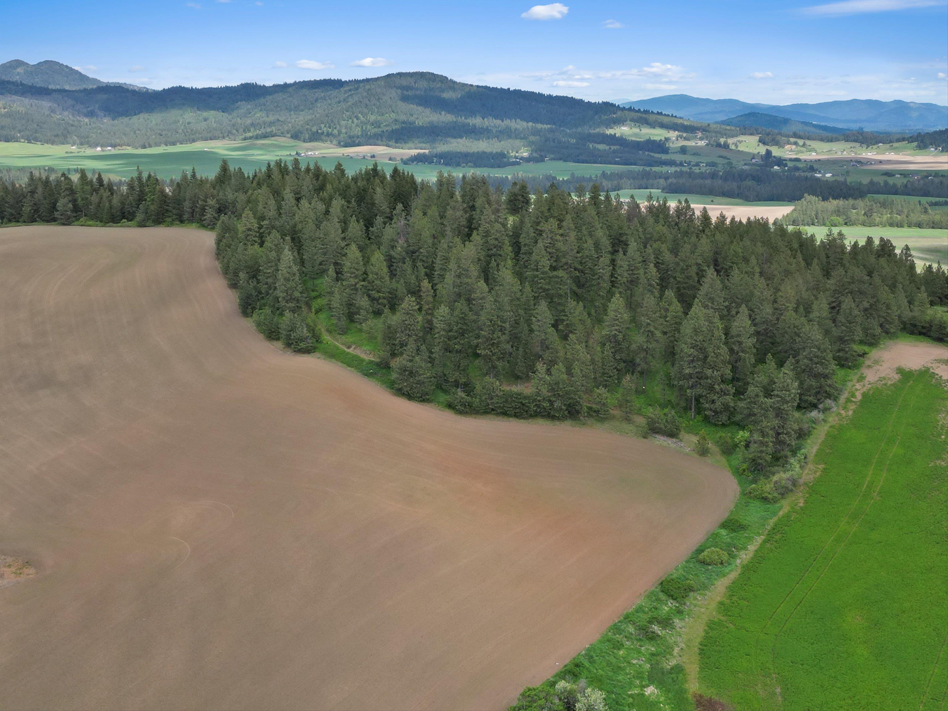 Xxxxx South Starr Road Rockford, WA 99030 - Photo 7 of 14