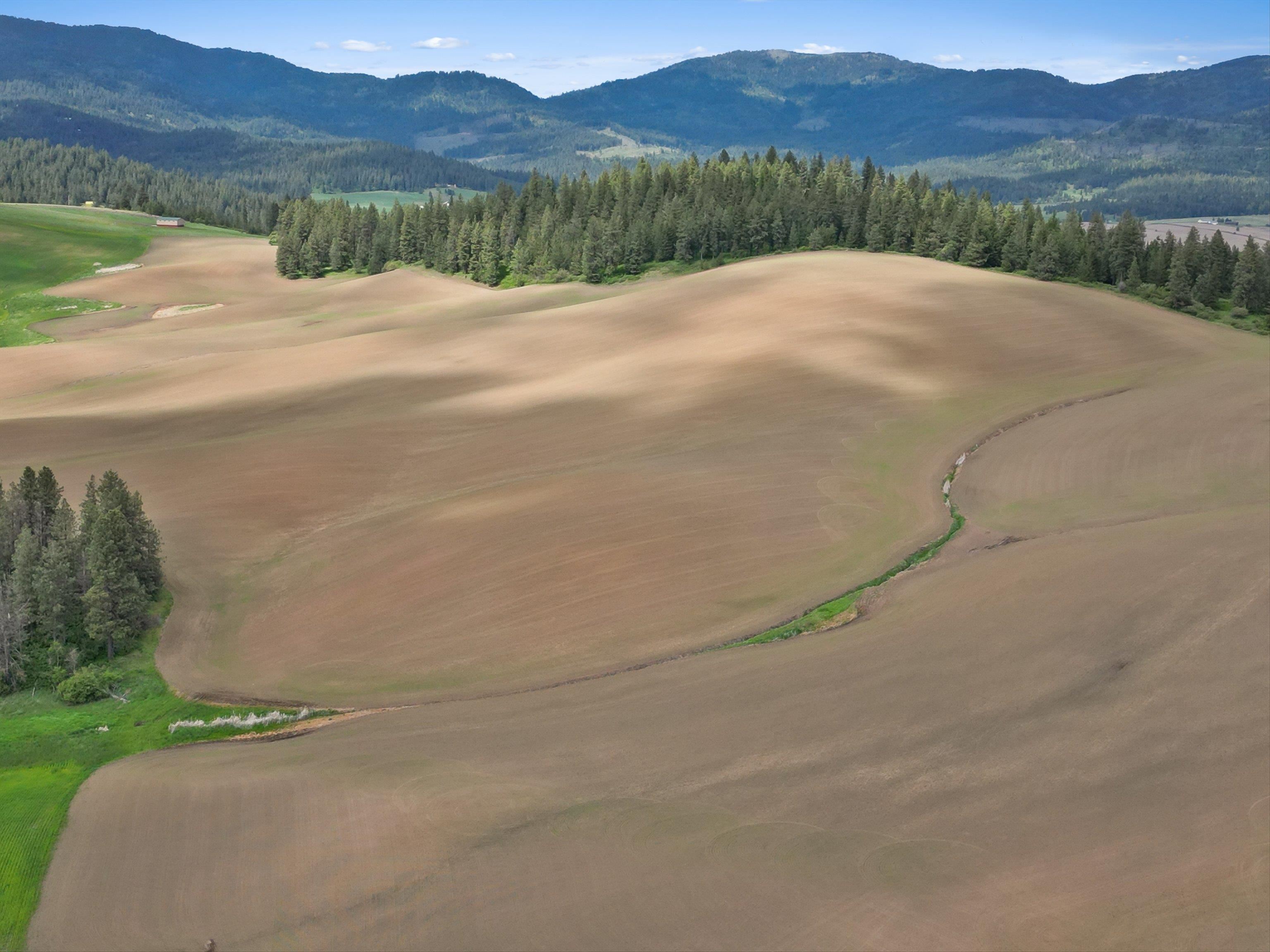 Xxxxx South Starr Road Rockford, WA 99030 - Photo 8 of 14