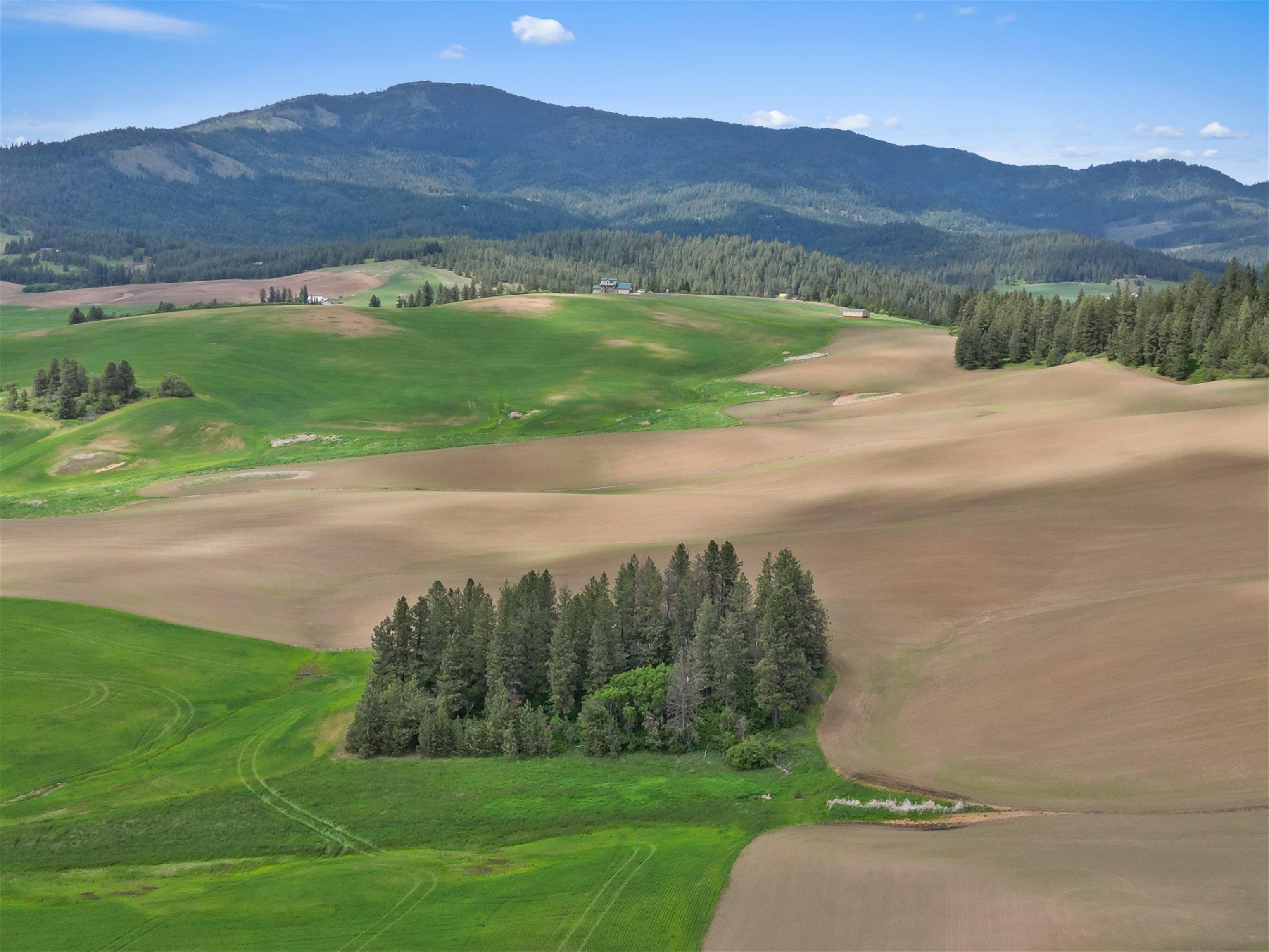 Xxxxx South Starr Road Rockford, WA 99030 - Photo 9 of 14