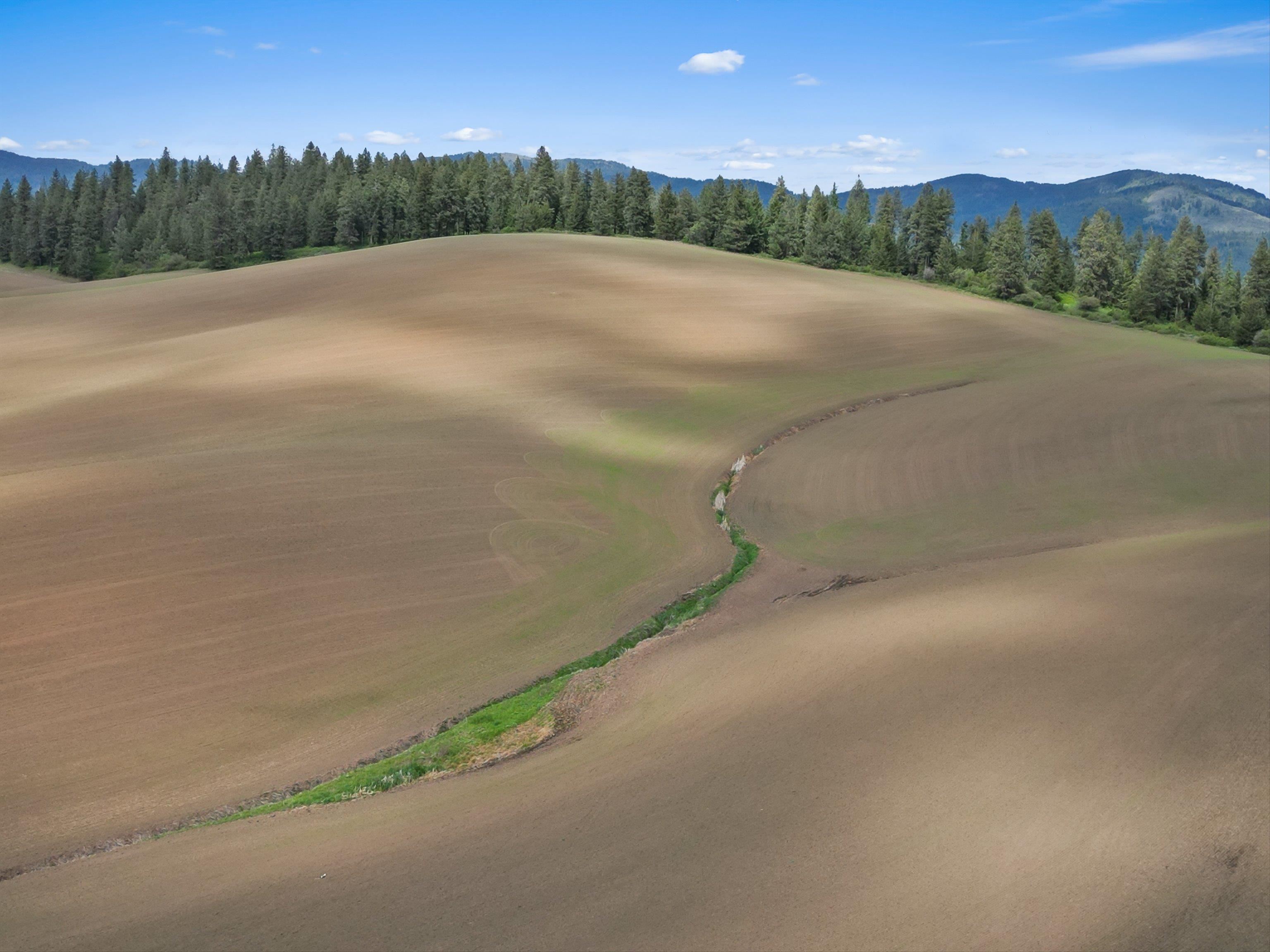 Xxxxx South Starr Road Rockford, WA 99030 - Photo 10 of 14