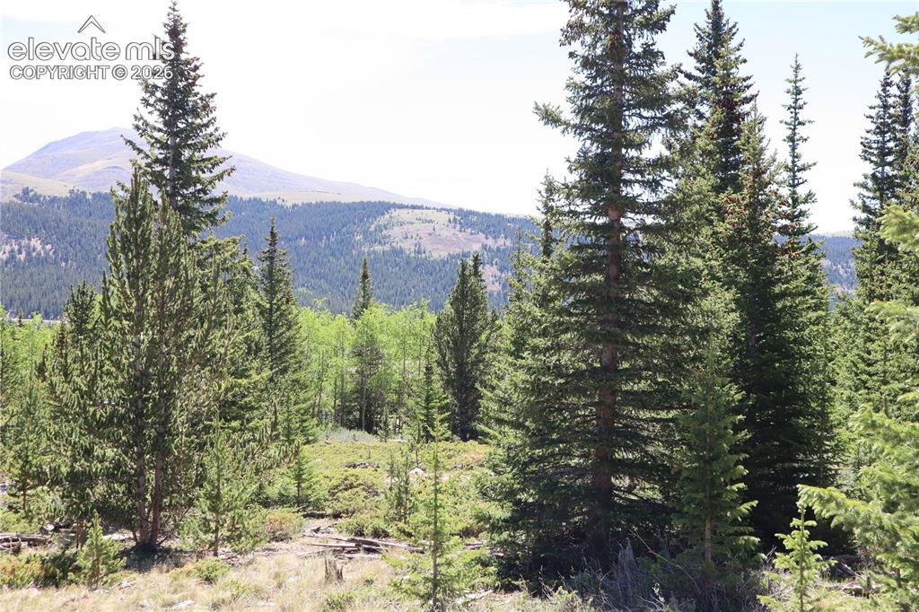 1480 Roberts Road Alma, CO 80420 - Photo 12 of 26
