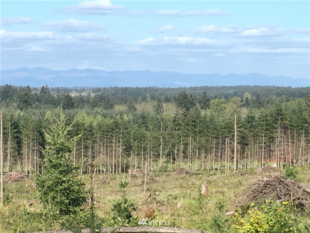 0 Tennessee Road Winlock, WA 98596 - Photo 1 of 10