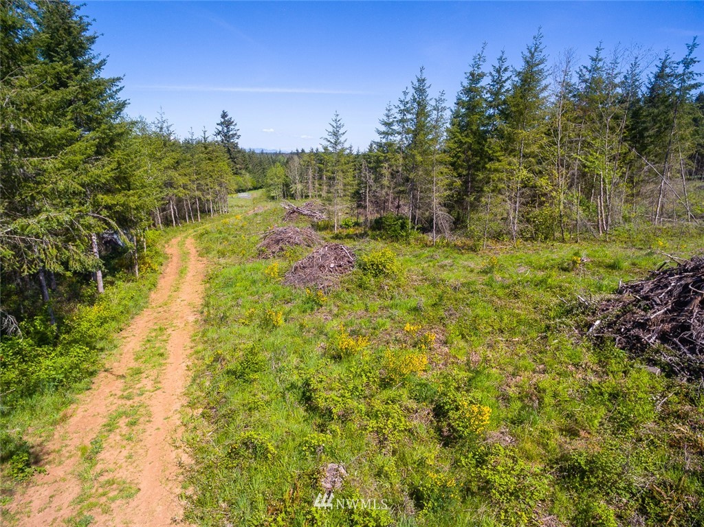 0 Tennessee Road Winlock, WA 98596 - Photo 6 of 10