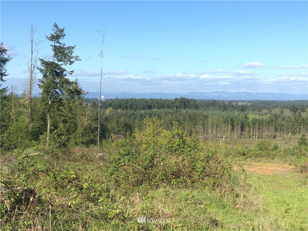0 Tennessee Road Winlock, WA 98596 - Photo 7 of 10