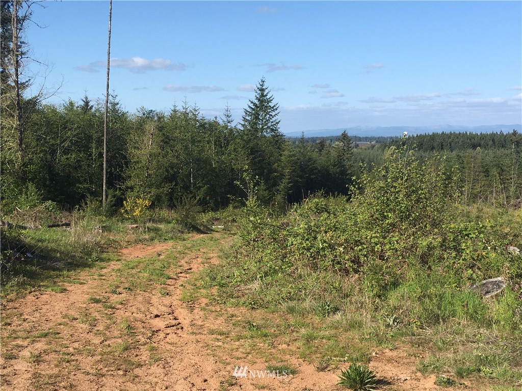 0 Tennessee Road Winlock, WA 98596 - Photo 8 of 10