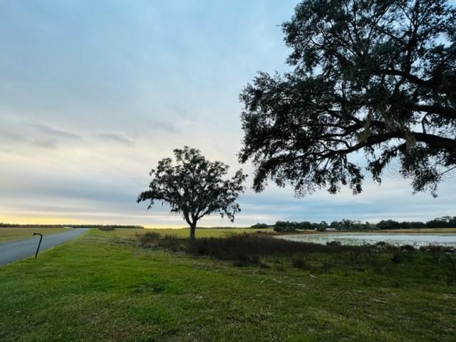 Tbd Southeast Tbd Se 74th Lane Road, Unit 8 & #9 WEST Ocklawaha, FL 32179 - Photo 2 of 4
