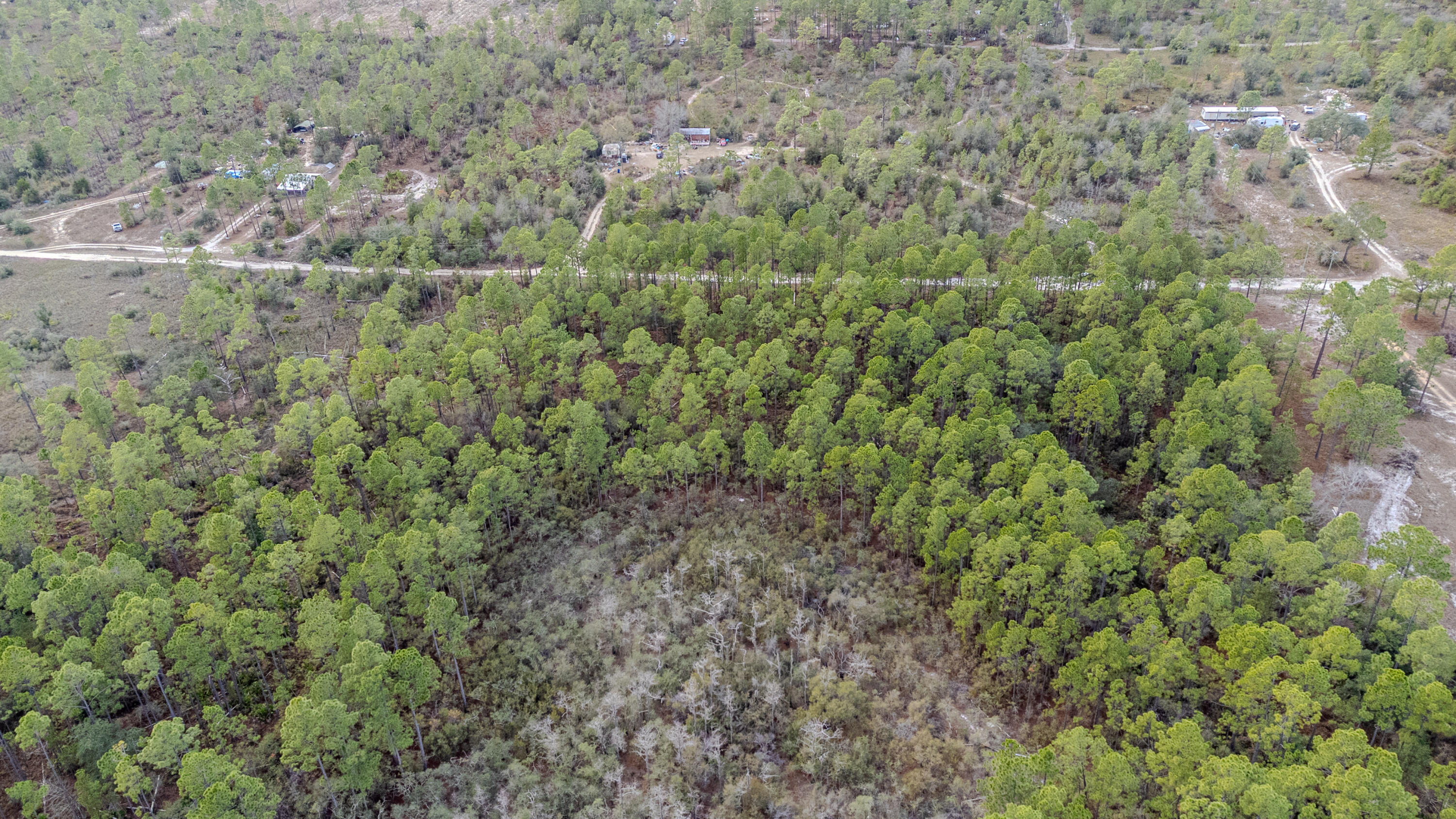 31 Baker Road Key Largo, FL 33037 - Photo 11 of 15 a view of a field with plants and trees