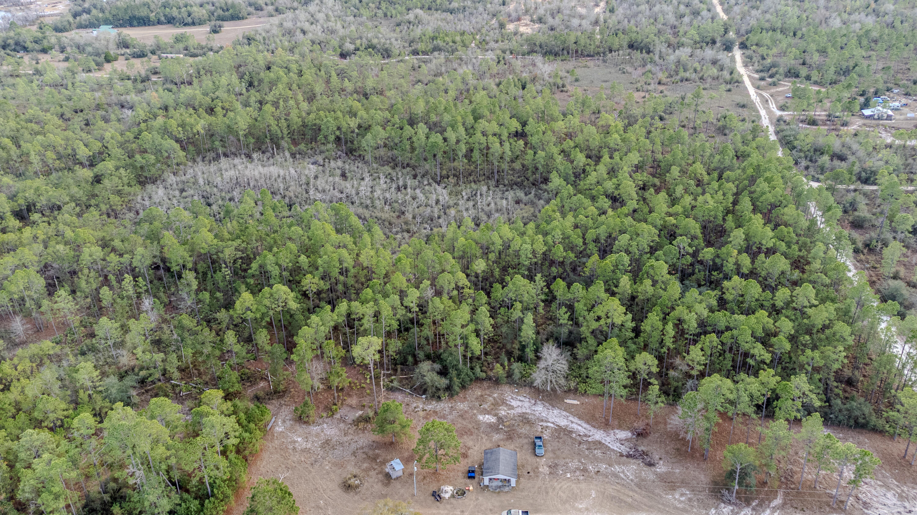 31 Baker Road Key Largo, FL 33037 - Photo 12 of 15 a view of a forest with a street