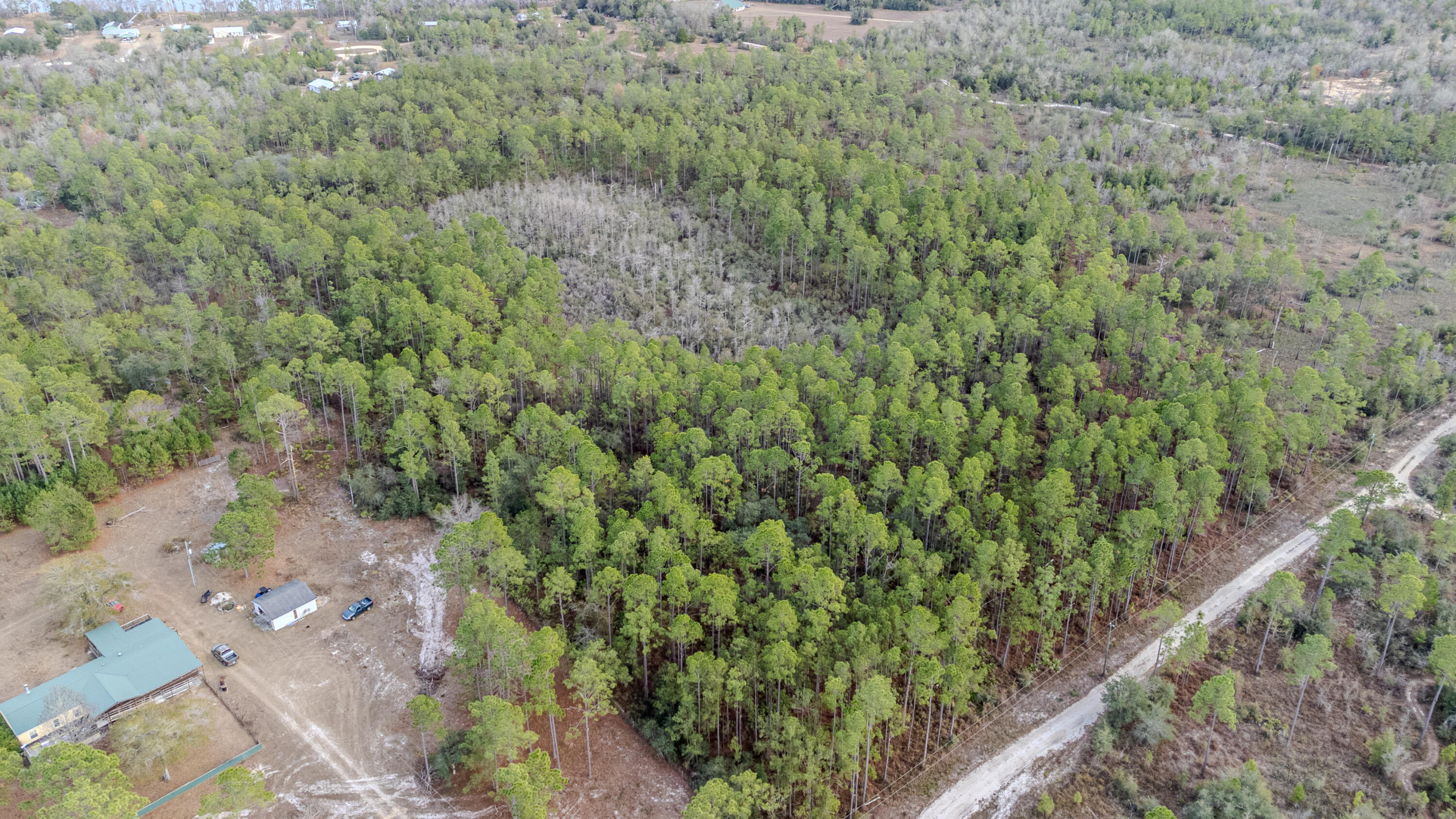 31 Baker Road Key Largo, FL 33037 - Photo 13 of 15 a view of a forest with a street