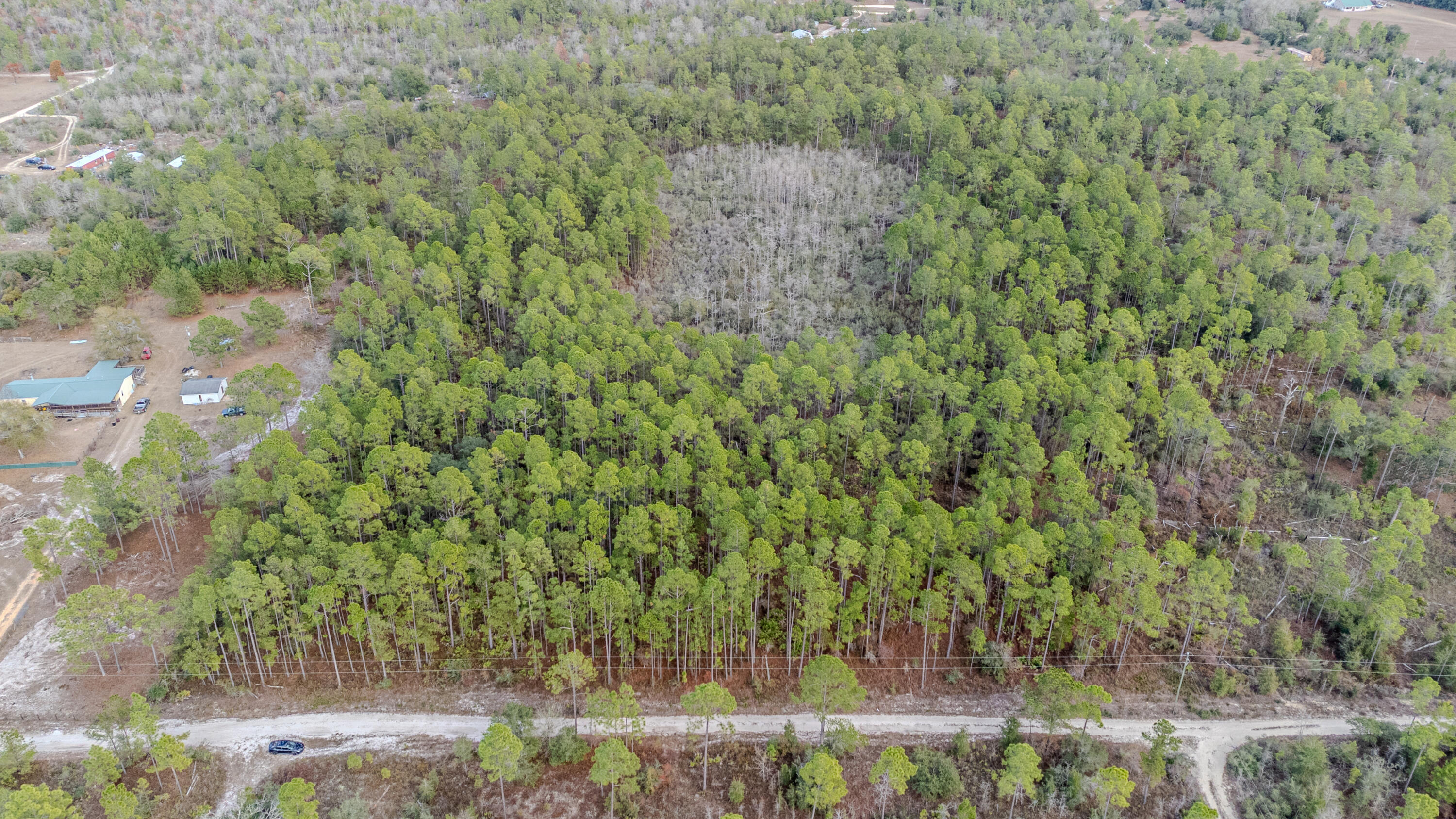 31 Baker Road Key Largo, FL 33037 - Photo 14 of 15 a view of a yard
