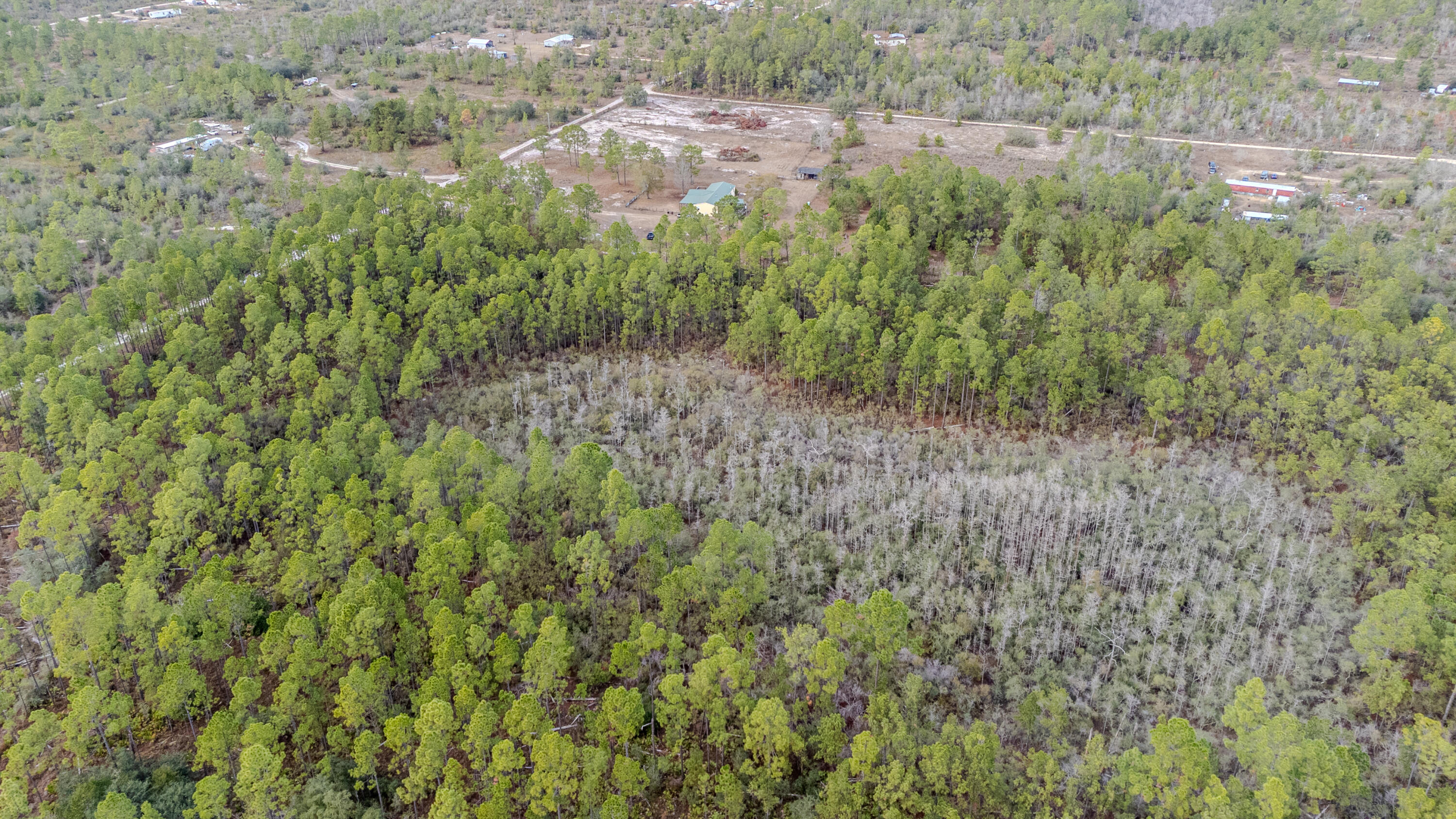 31 Baker Road Key Largo, FL 33037 - Photo 7 of 15 a view of a forest with trees and houses