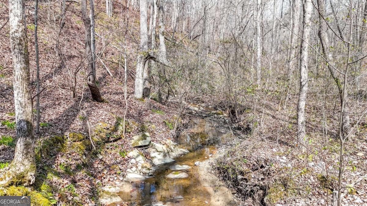 0 Felton Rockmart Road Buchanan, GA 30113 - Photo 35 of 47