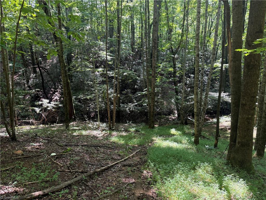 0 McCarther Road Mount Airy, NC 27030 - Photo 19 of 23 Gallery Image 19