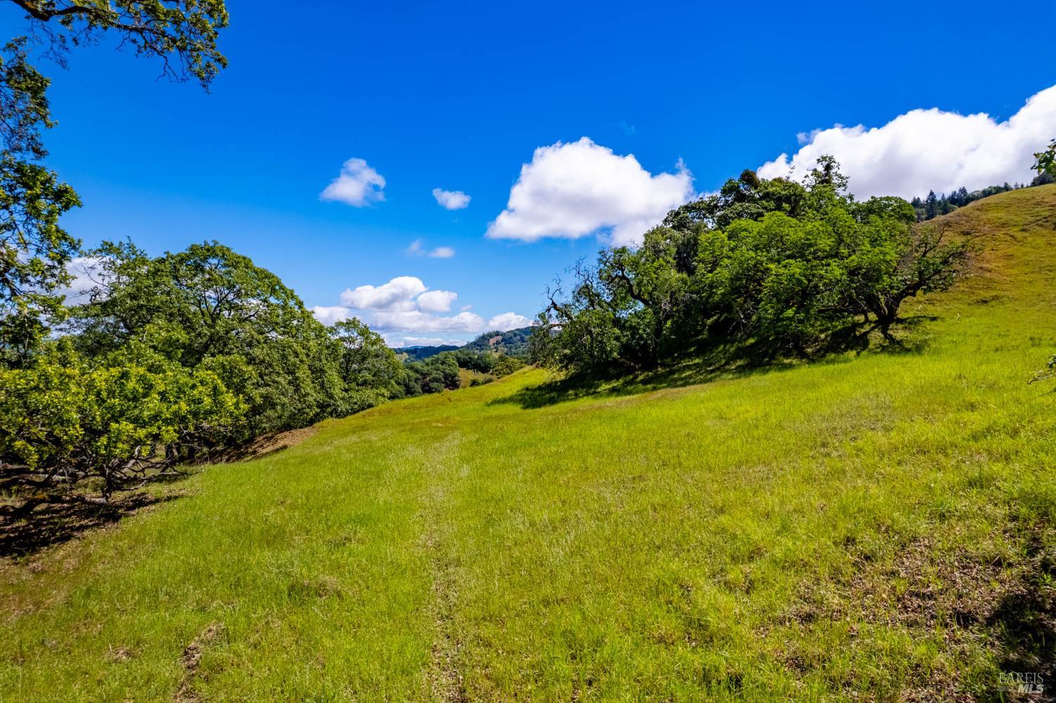 15890 Yorkville Ranch Road Hopland, CA 95449 - Photo 49 of 60