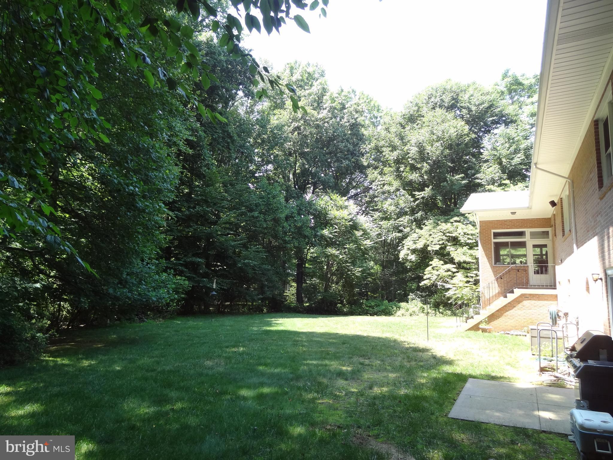 11948 Chapel Road Clifton, VA 20124 - Photo 17 of 25 Back Yard