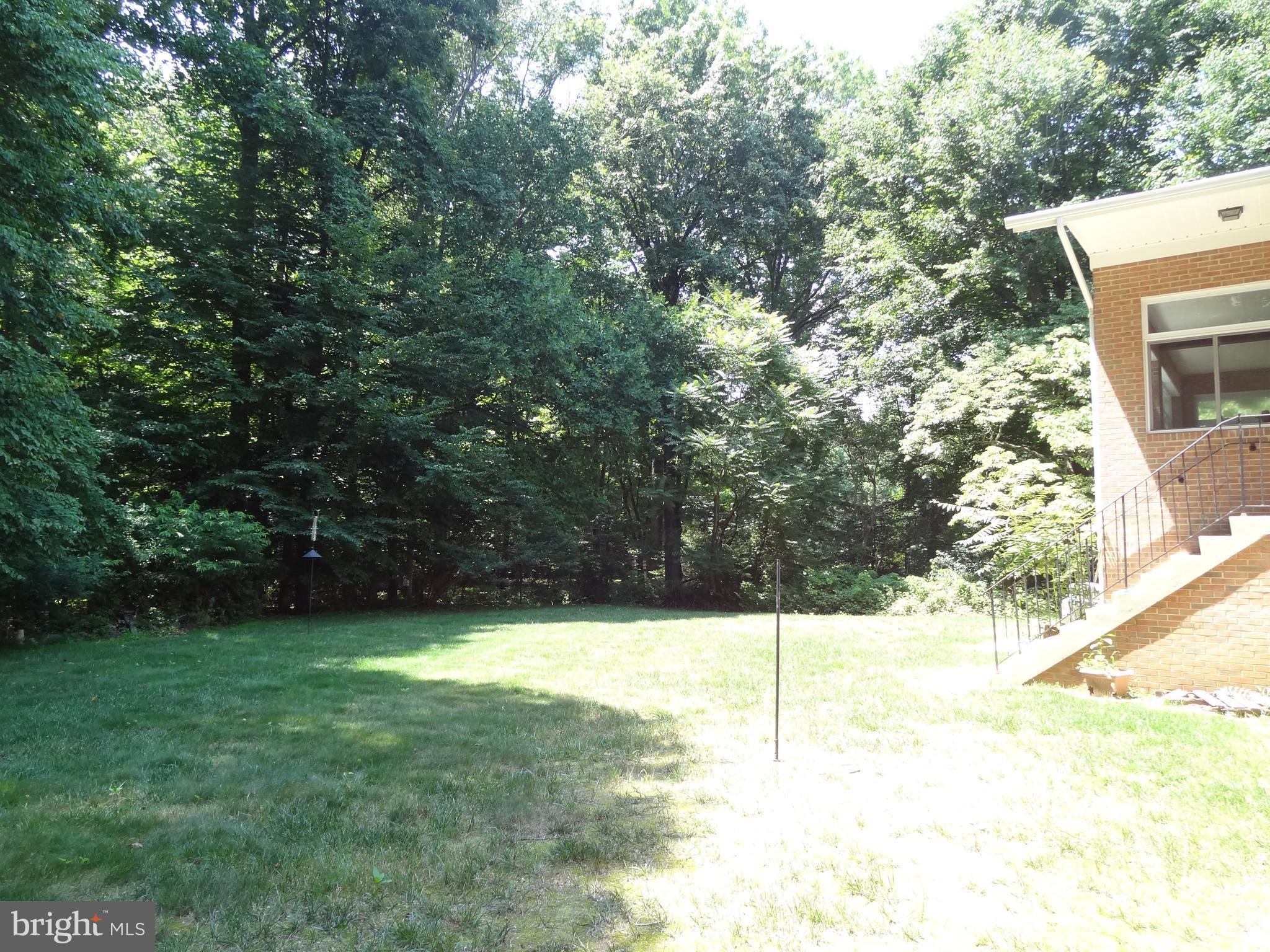 11948 Chapel Road Clifton, VA 20124 - Photo 24 of 25 Back Yard