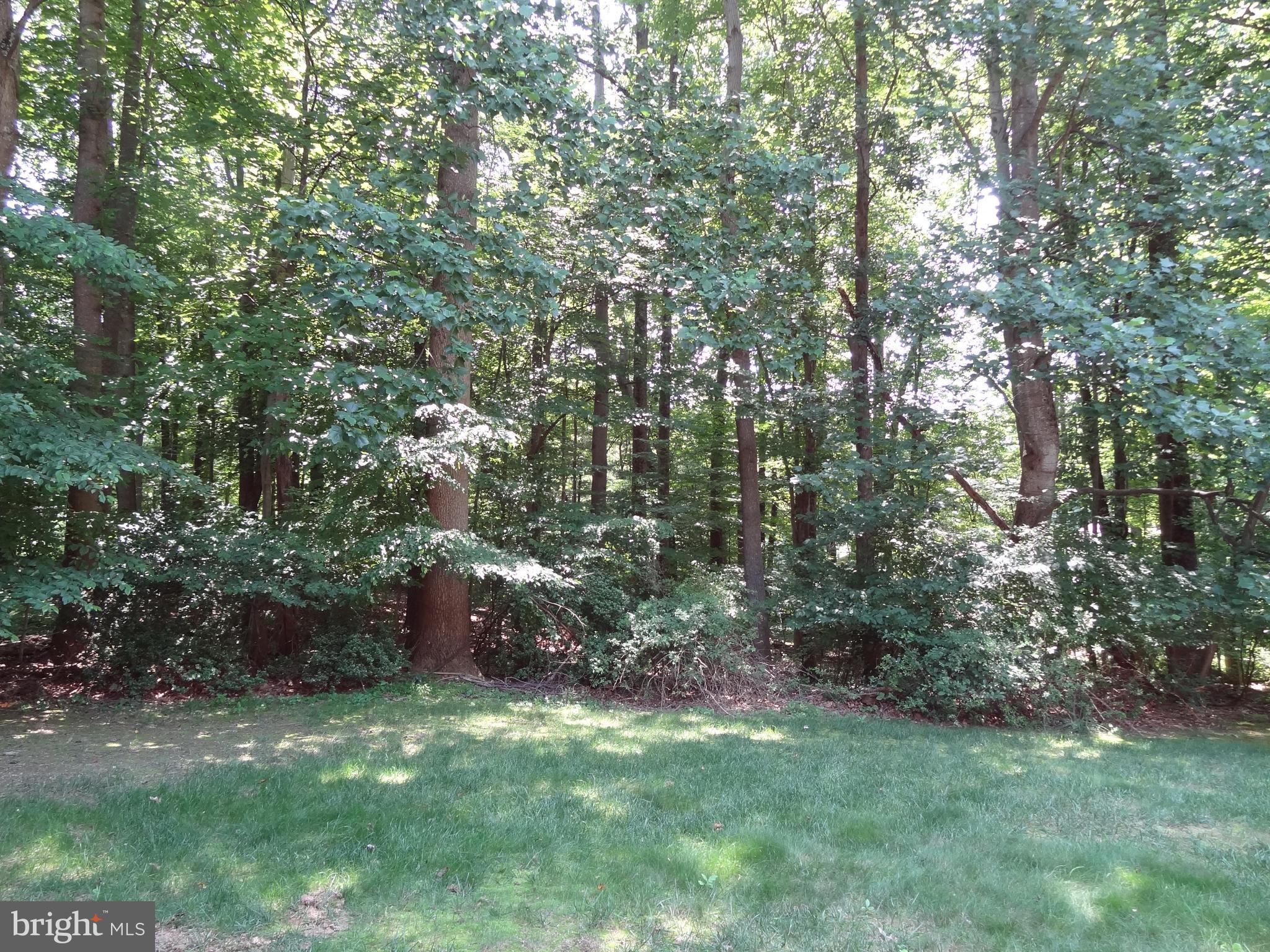 11948 Chapel Road Clifton, VA 20124 - Photo 25 of 25 Back Yard