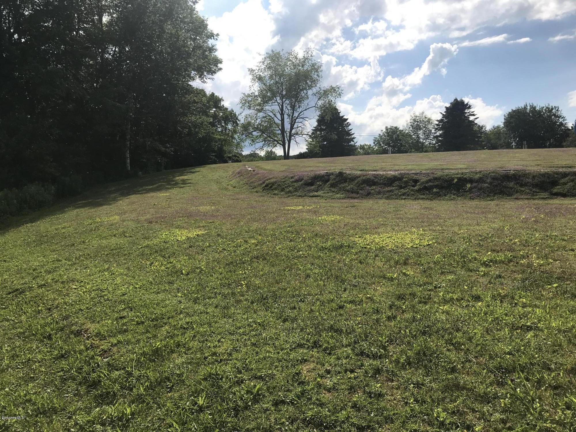 3 Cooper Town Road Tyringham, MA 01238 - Photo 4 of 8 a view of outdoor space and yard