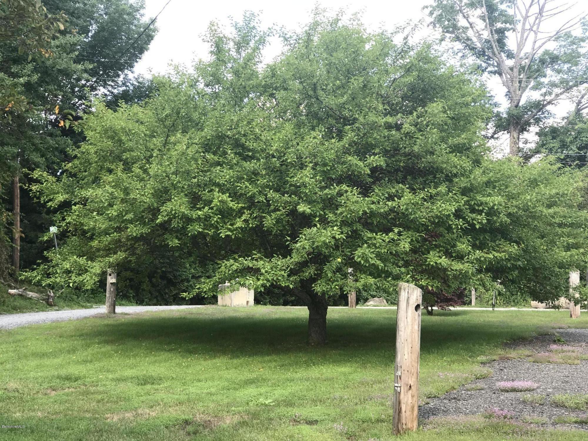 3 Cooper Town Road Tyringham, MA 01238 - Photo 8 of 8 a view of a yard