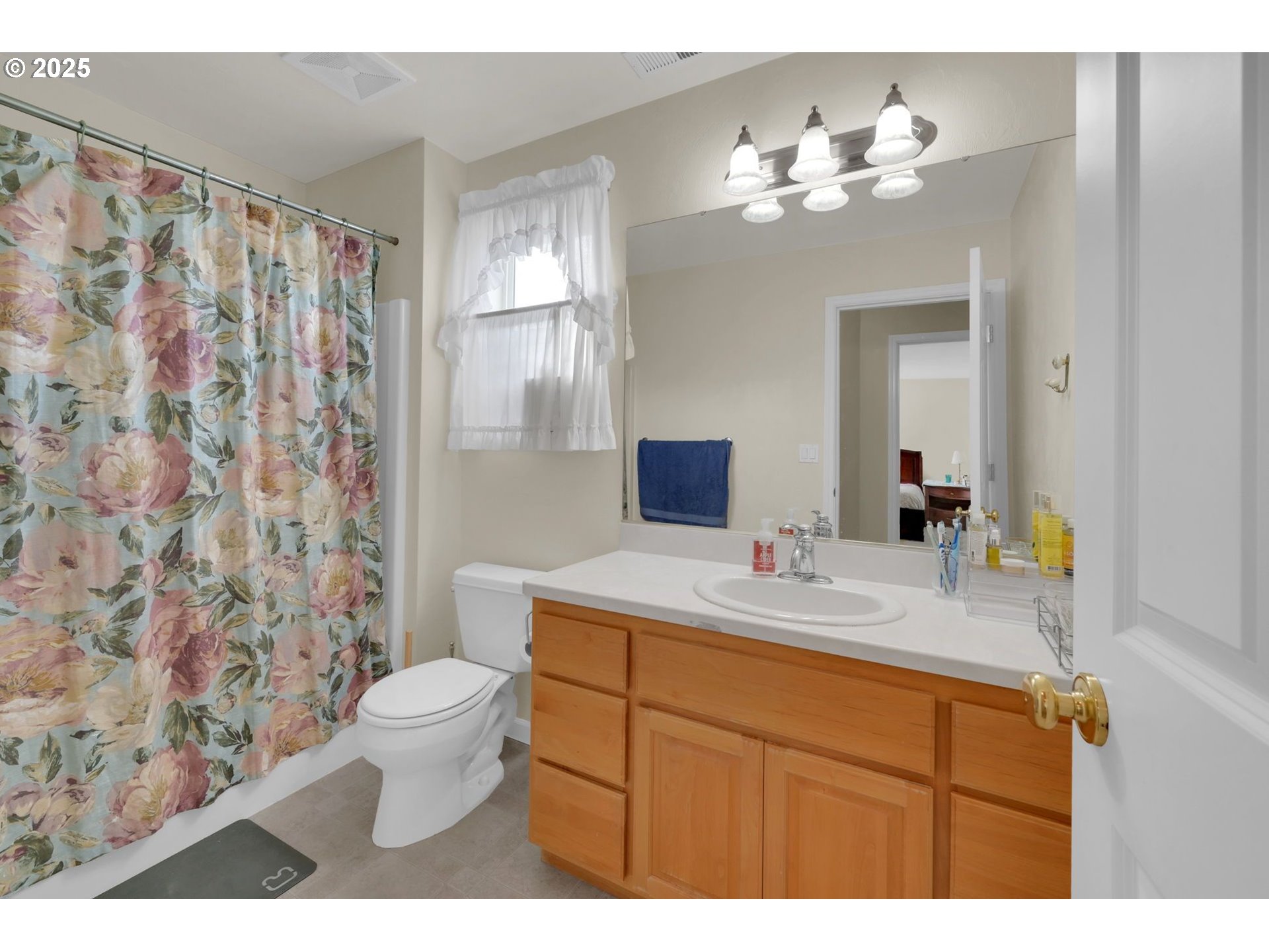 832 Mint Meadow Way Springfield, OR 97477 - Photo 22 of 31 a bathroom with a toilet a sink and a mirror