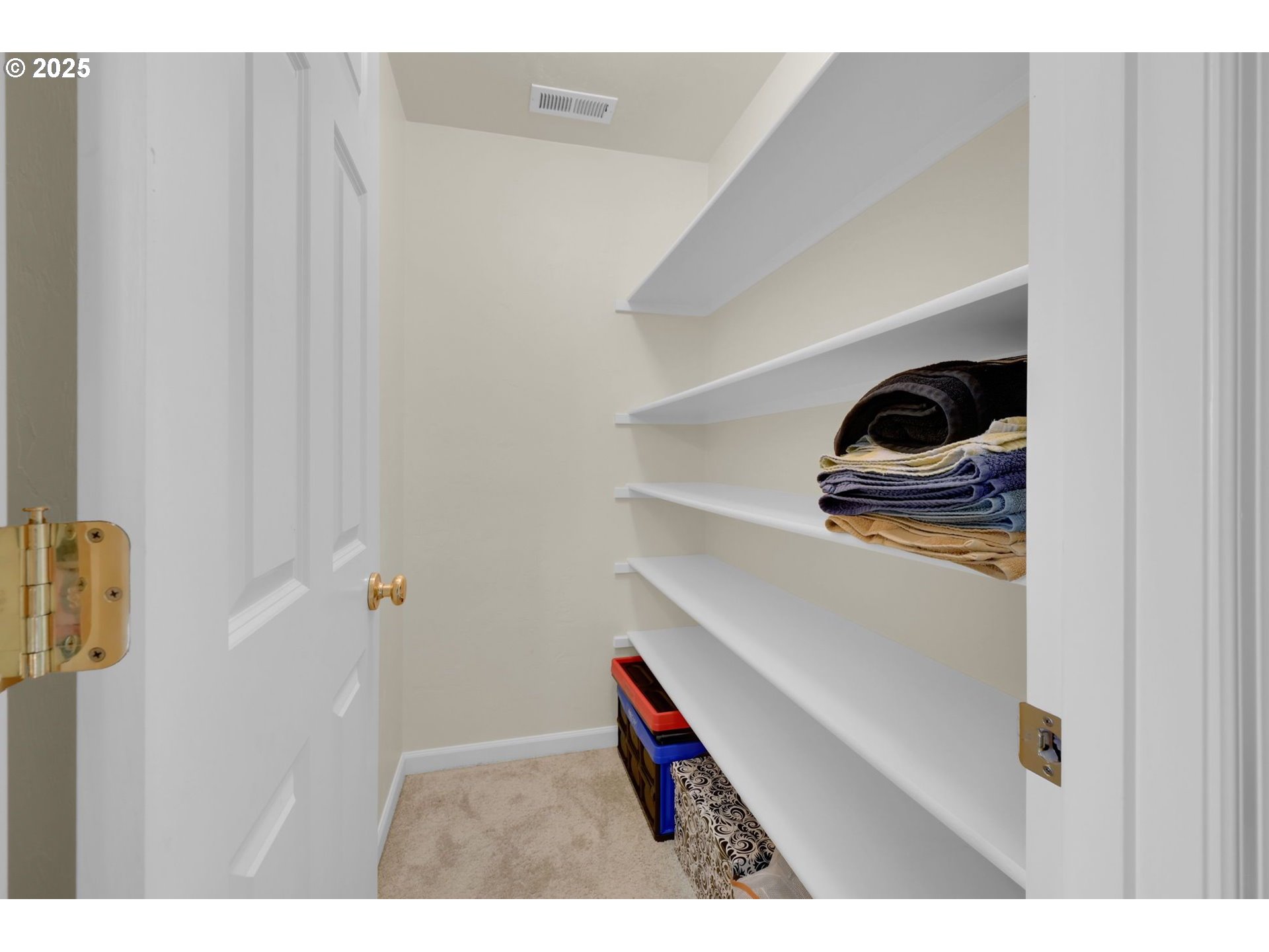 832 Mint Meadow Way Springfield, OR 97477 - Photo 23 of 31 a view of walk in closet