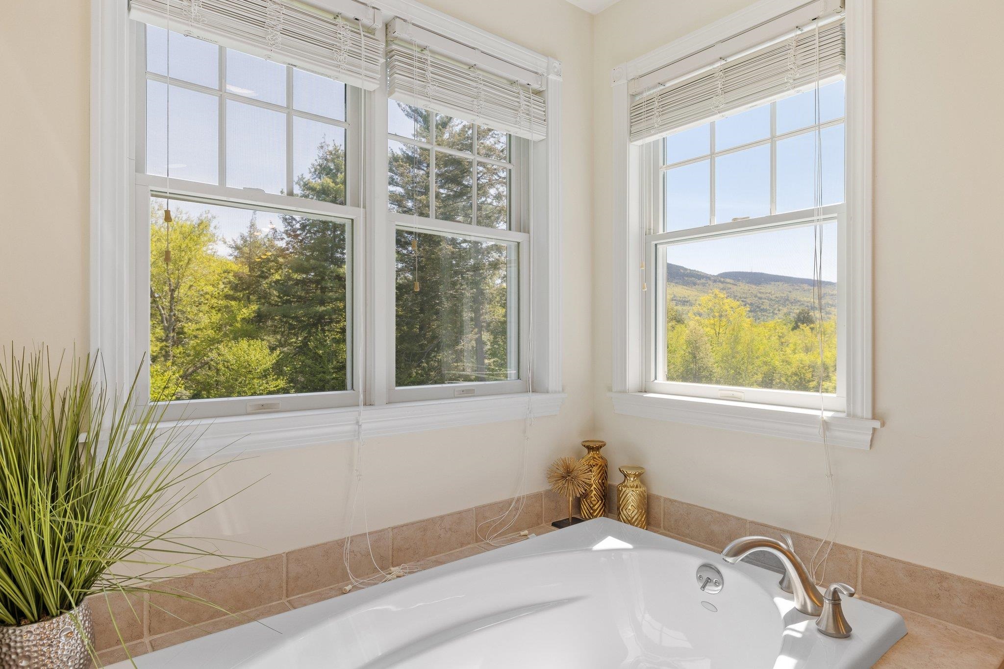 71 Labonte Farm Road Gilford, NH 03249 - Photo 28 of 39 Gallery Image 28