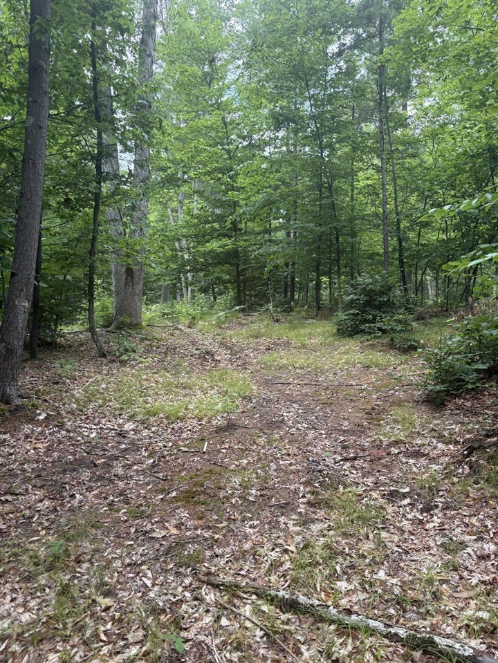 5 5 Mile Road Howard City, MI 49329 - Photo 35 of 99 Gallery Image 35