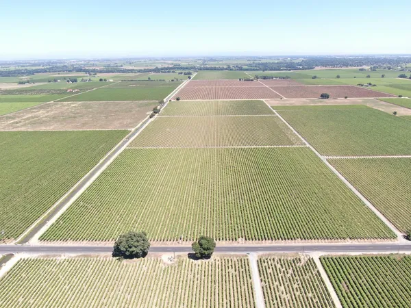 $1,600,000 | 20860 Devries Road, Lodi, CA 95242