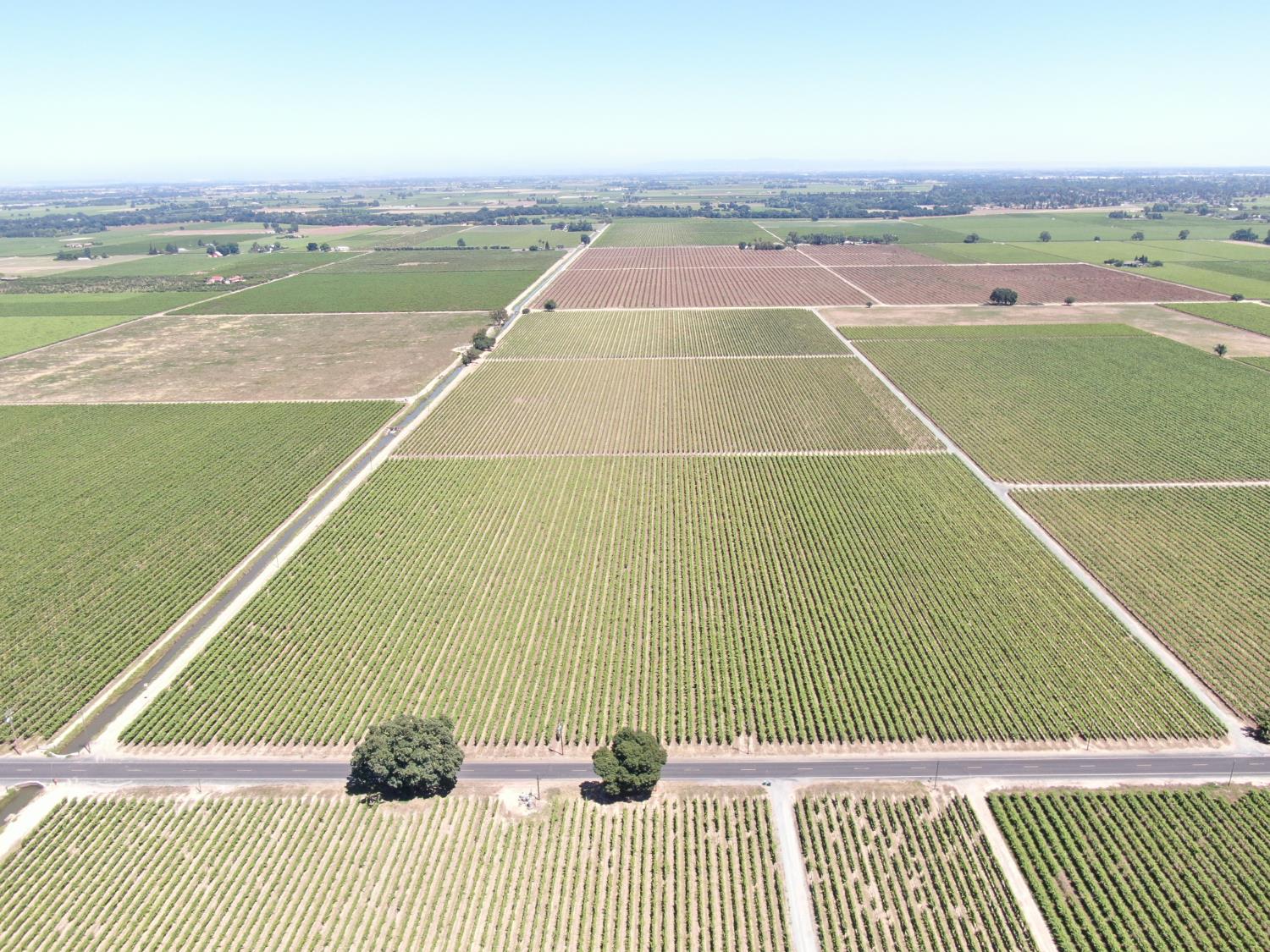 20860 Devries Road Lodi, CA 95242 - Photo 1 of 7
