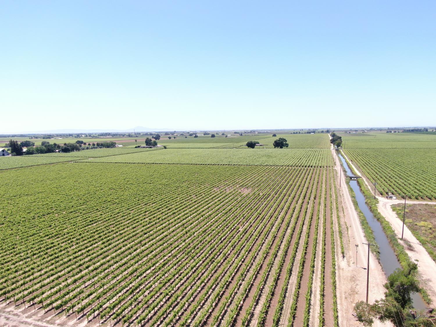 20860 Devries Road Lodi, CA 95242 - Photo 3 of 7