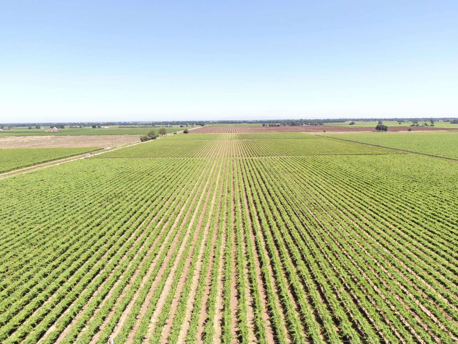 20860 Devries Road Lodi, CA 95242 - Photo 4 of 7